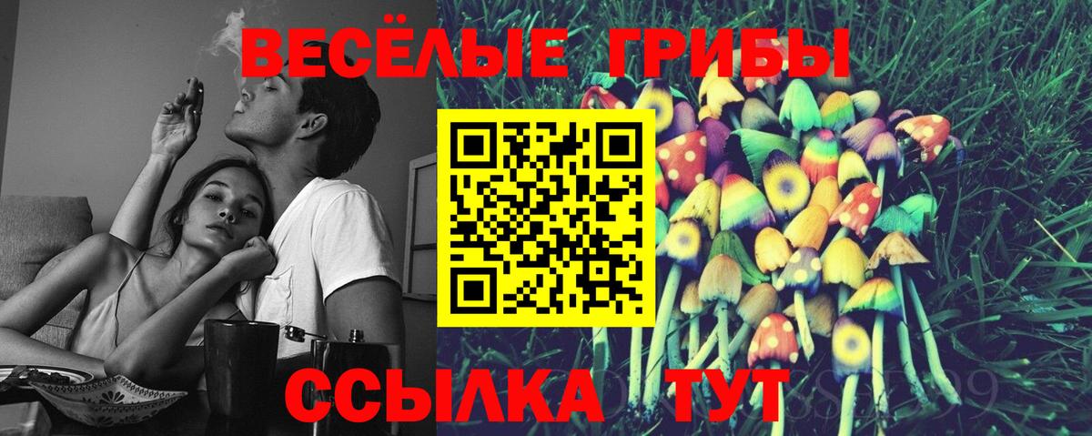 Галлюциногенные грибы GOLDEN TEACHER Волгоград